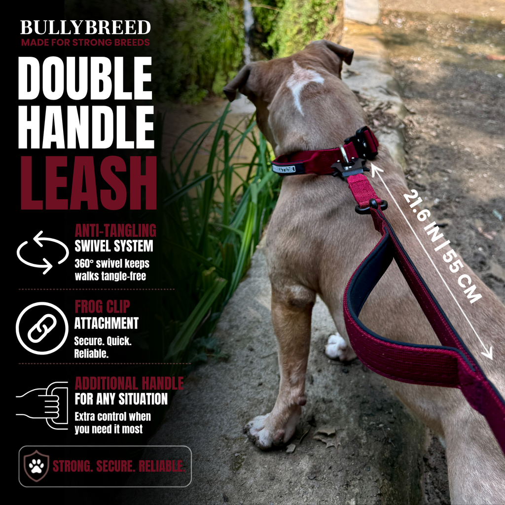 Double handle dog leash