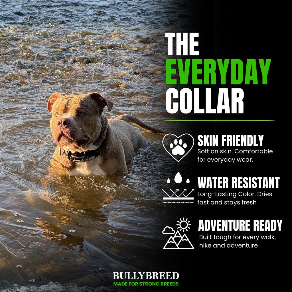 Water resistant dog collar