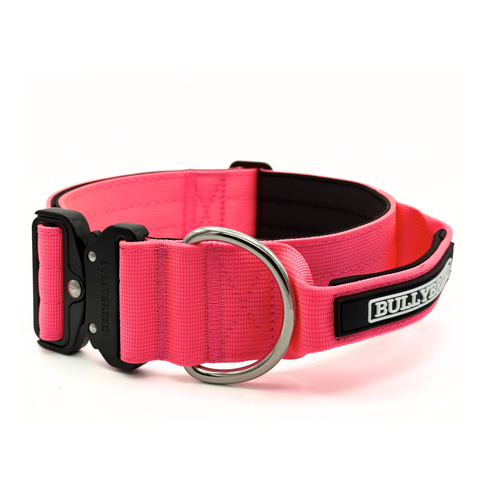 Large collar for bully breeds