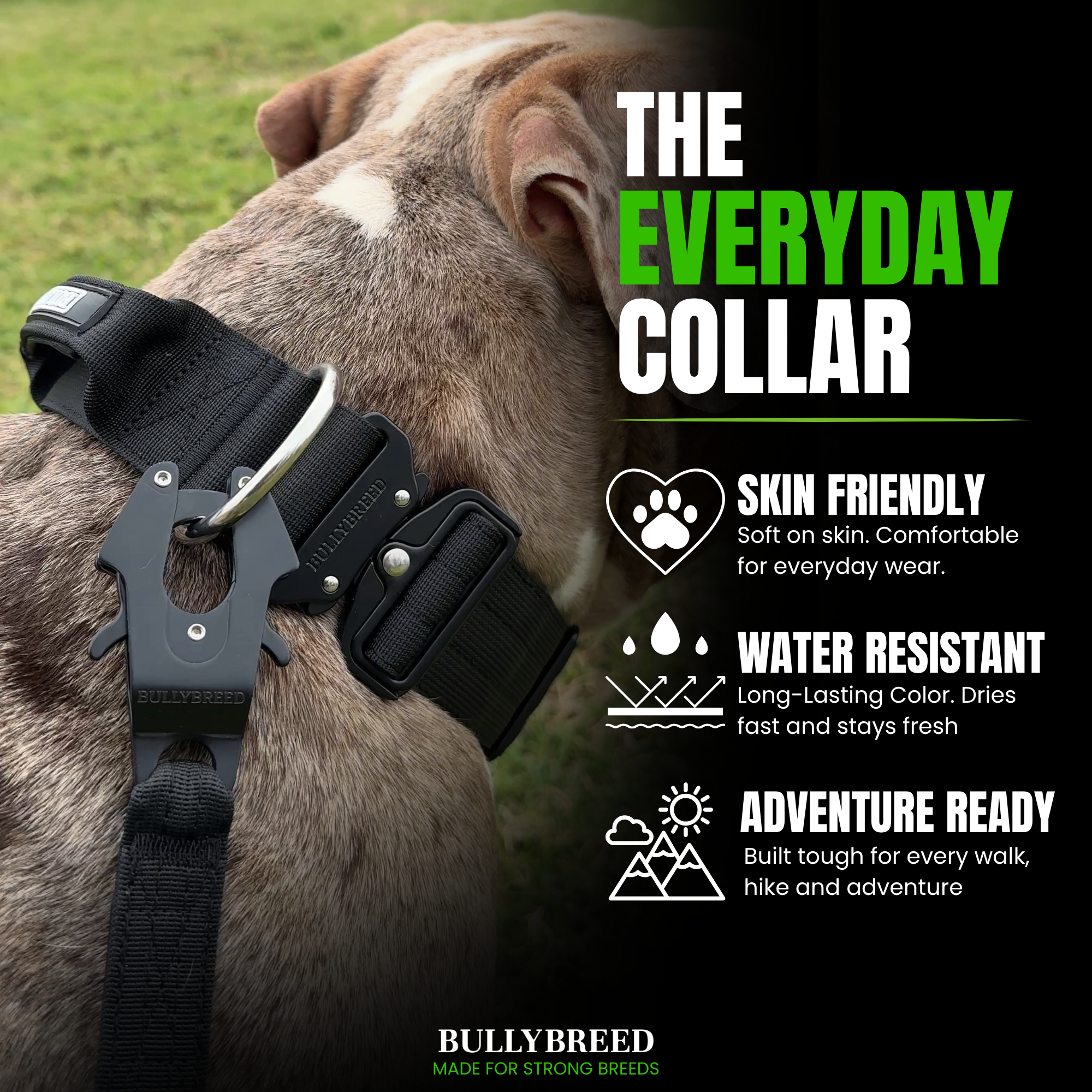 Dog collar for large dogs