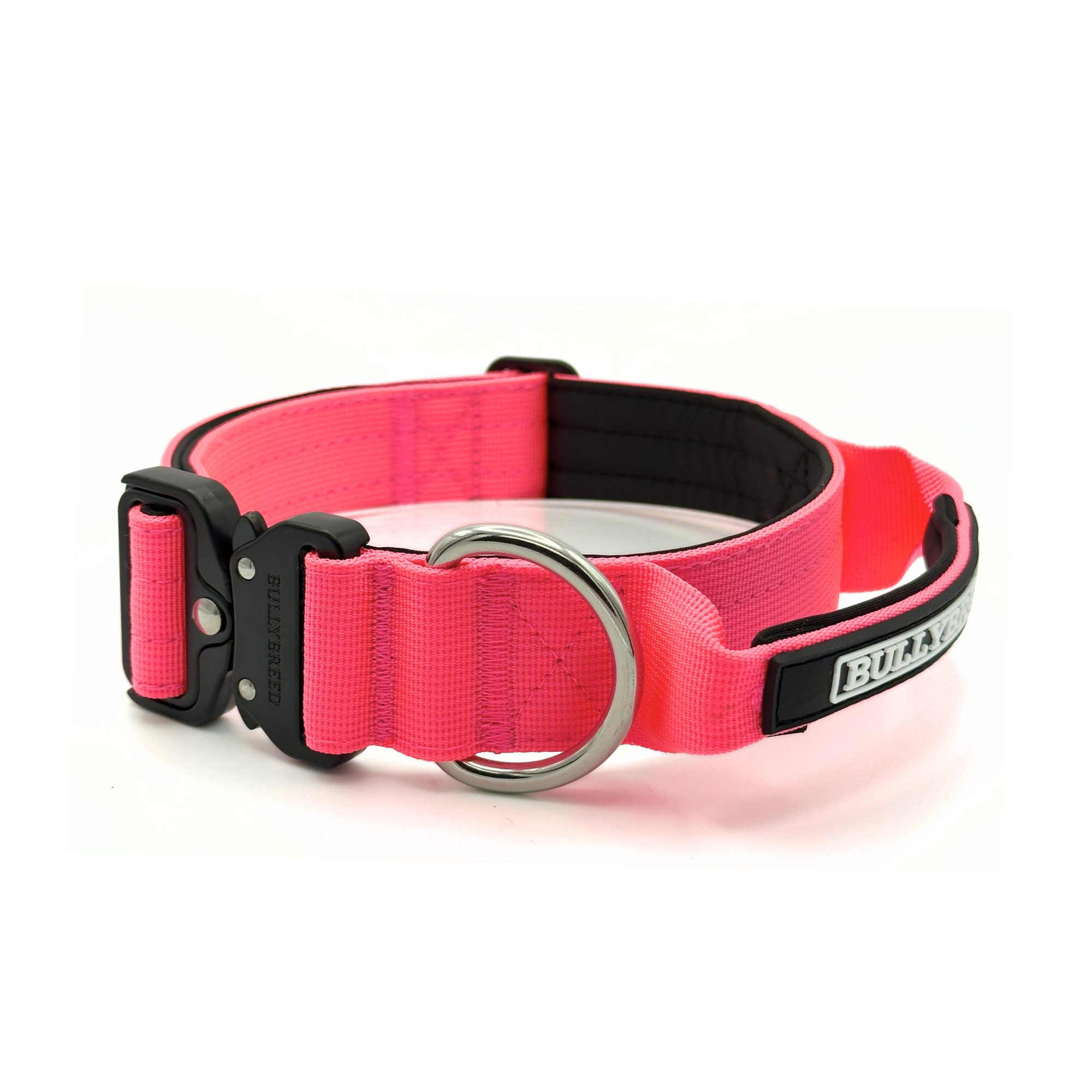 Medium collar for bully breeds