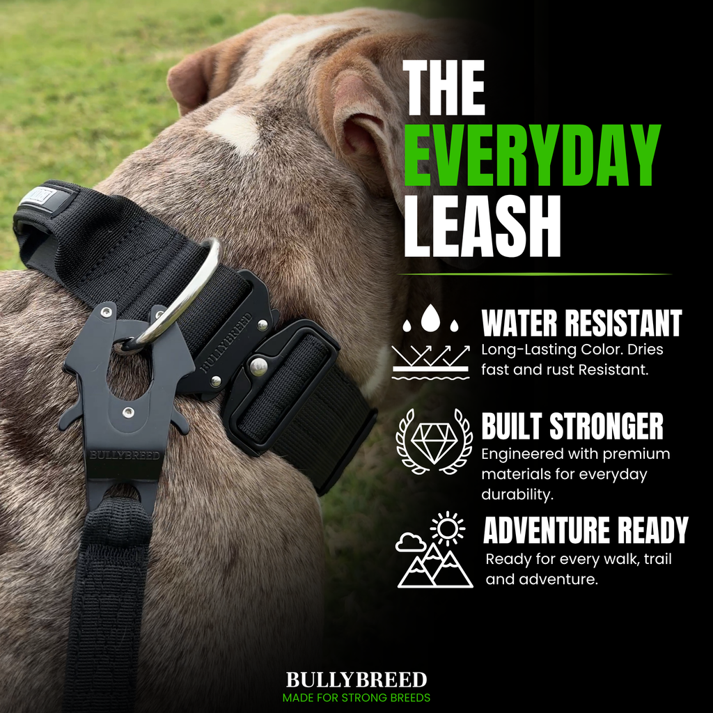 A close-up of a dog wearing a black dog leash harness with a quick-release buckle, set against a blurred green grass background. The right side of the image features a black panel with green and white text highlighting product features: 'THE EVERYDAY LEASH', 'WATER RESISTANT', 'BUILT STRONGER', and 'ADVENTURE READY'.