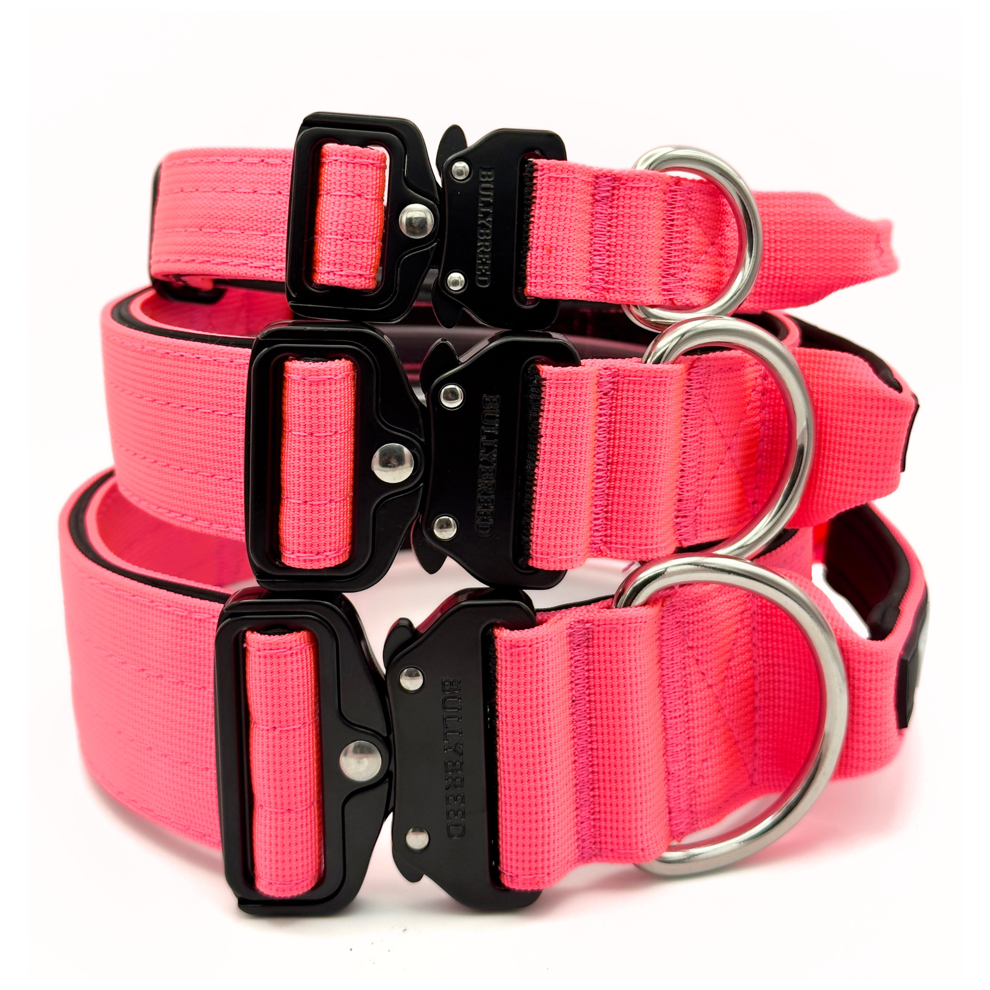 Hot pink dog collar for bully breeds