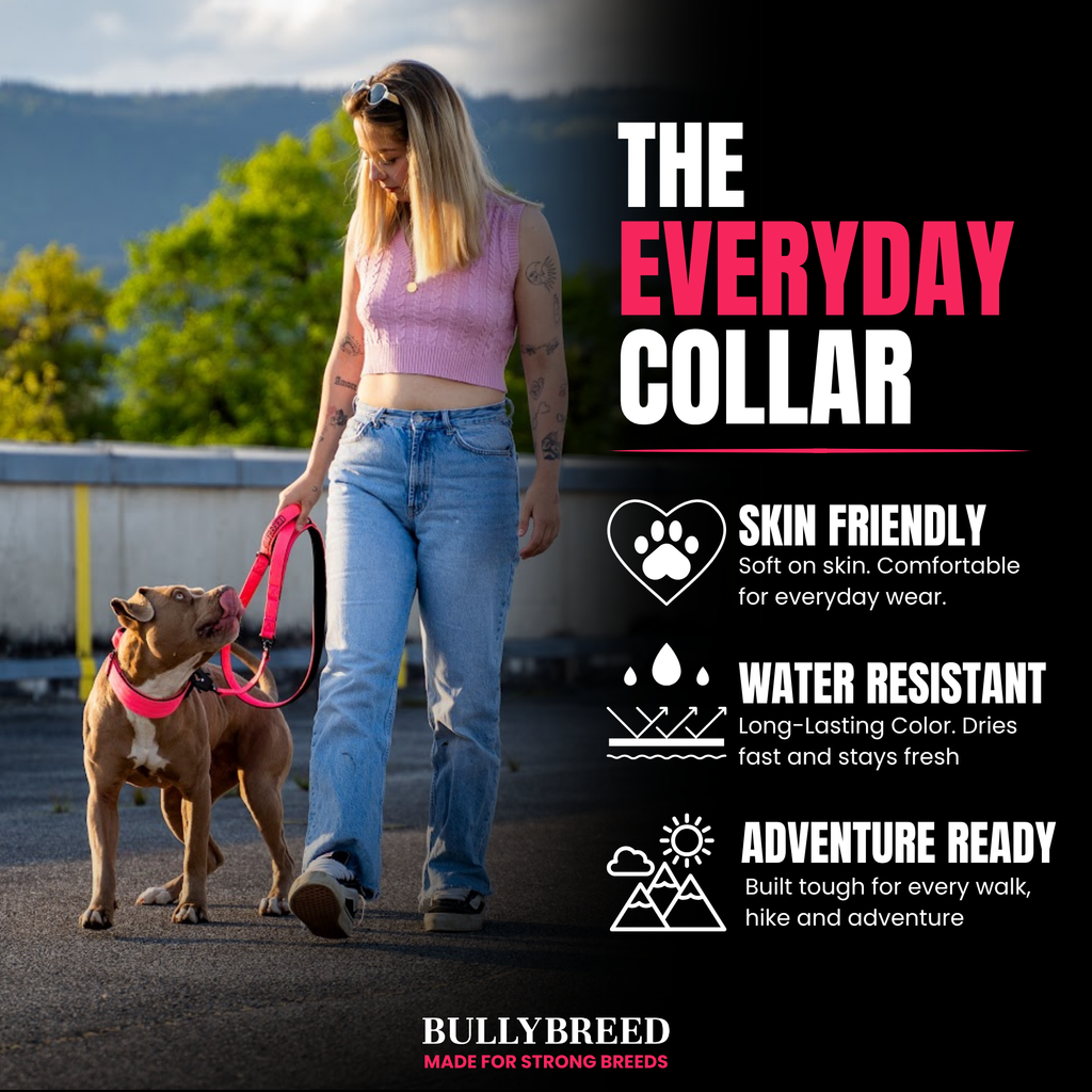 hot pink dog leash
