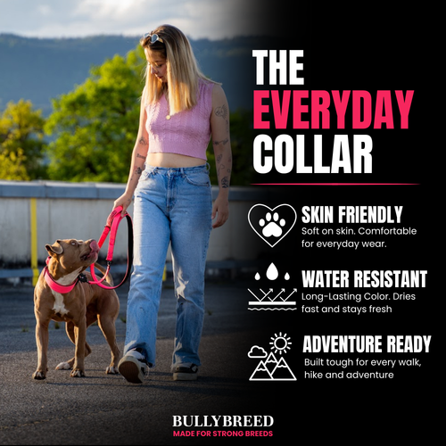 hot pink dog leash