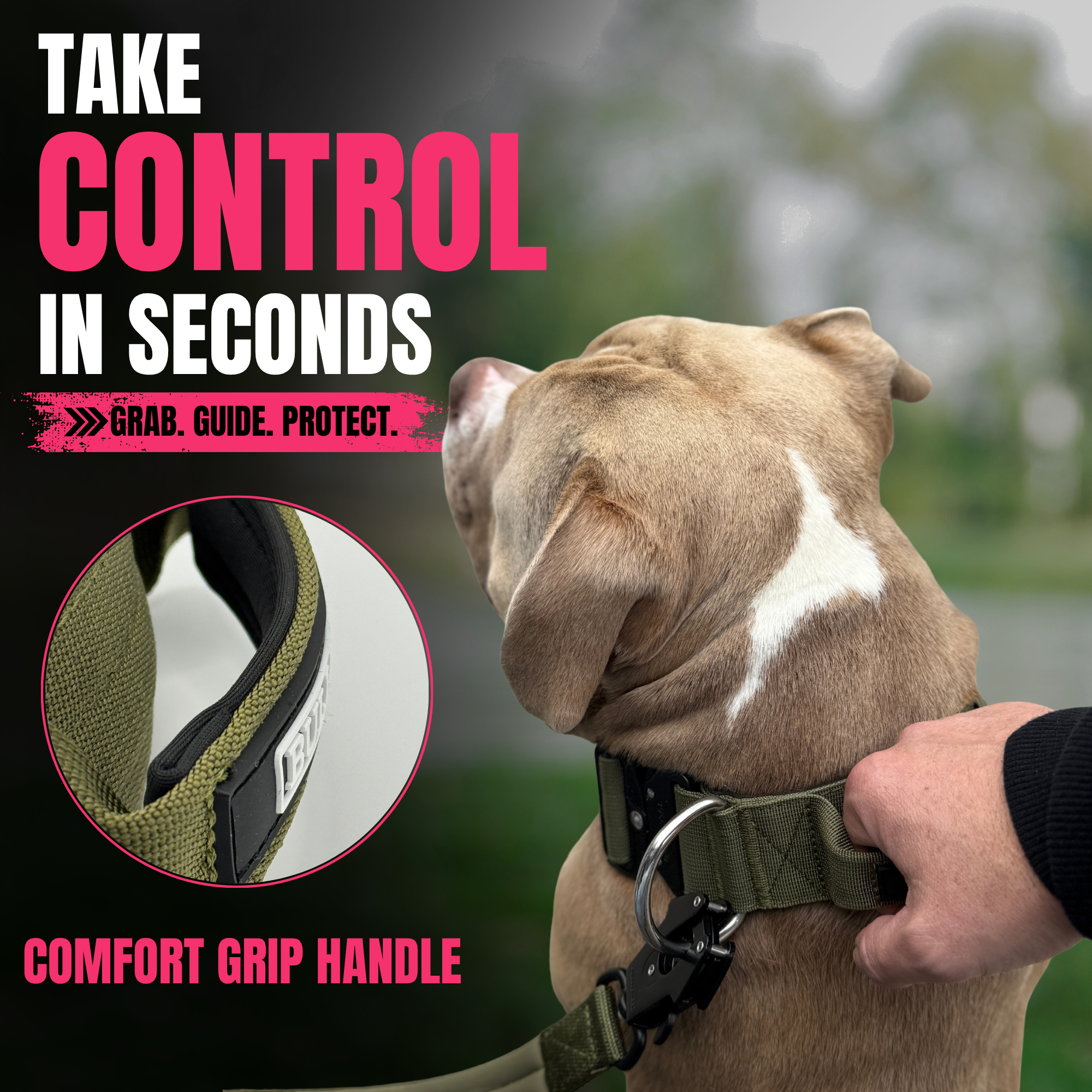 Dog collar with Handle