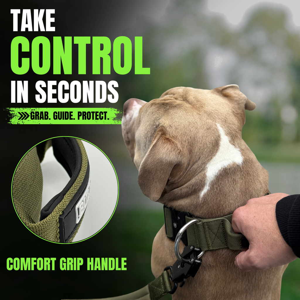 BULLYBREED Premium Collar & Leash | Now Available in Neon Green