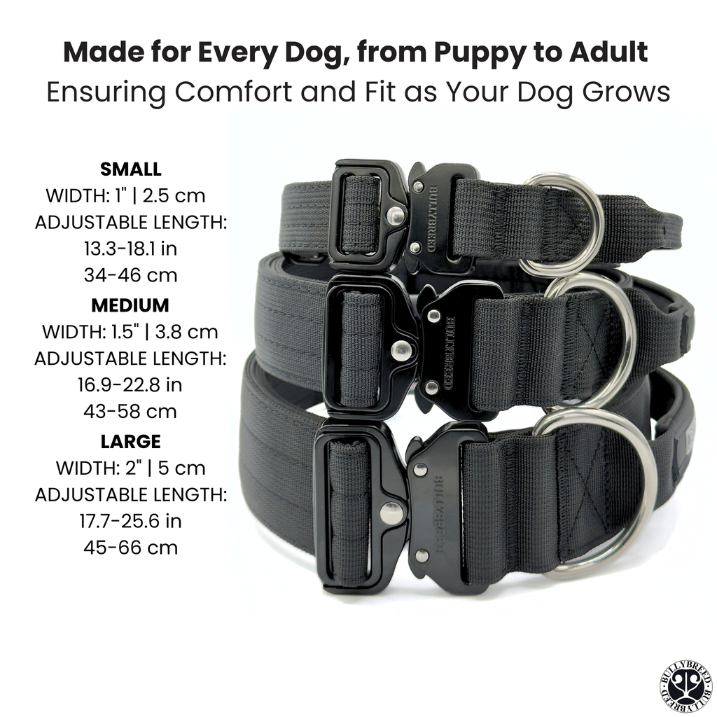Large Dog Collar with Handle Width 2" | Adjustable Length 17.7-25.6 in