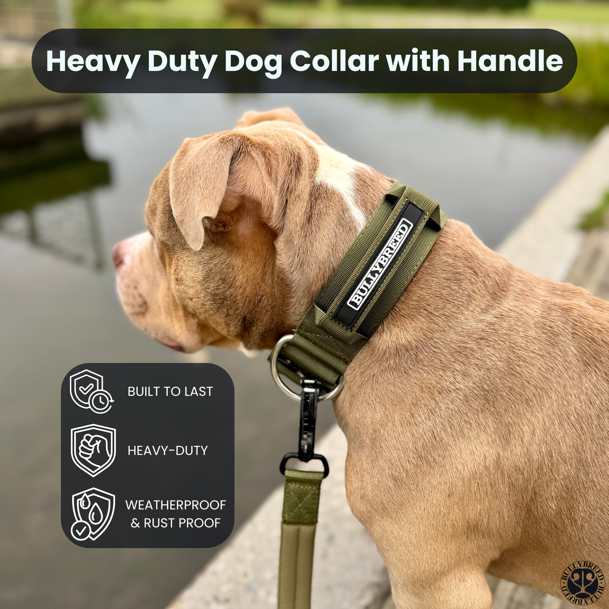 Large Dog Collar with Handle Width 2" | Adjustable Length 17.7-25.6 in