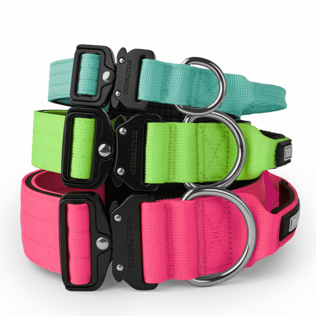 Heavy duty dog collar and double handle leash set