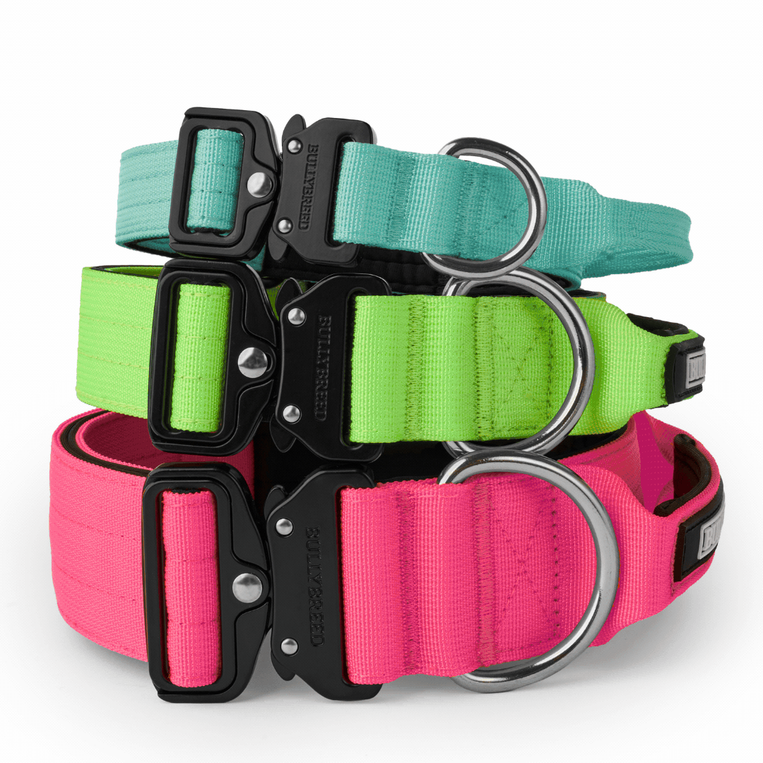 Heavy duty dog collar and double handle leash set