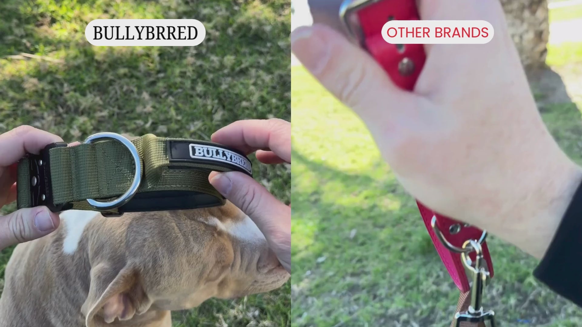 Bullybreed comparison with other brands